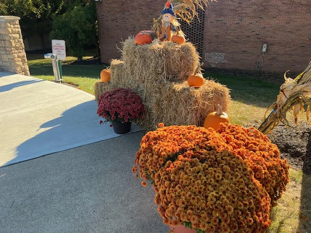 Fall landscaping maintenance for commercial properties