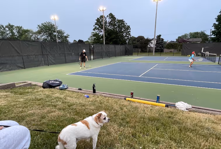Appleby Tennis Club