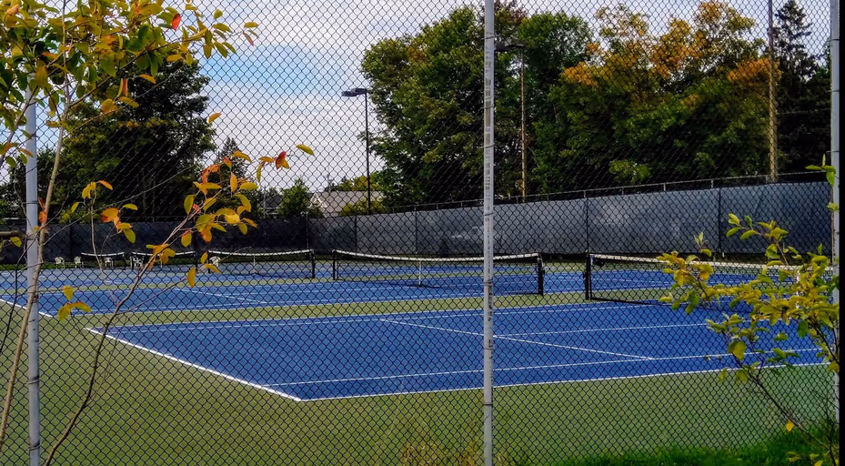 City View Tennis Club