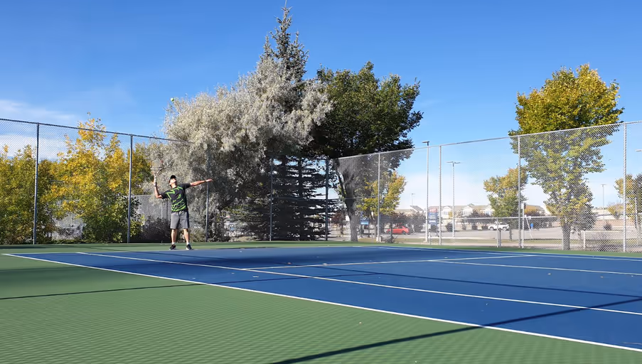 Dalhousie Tennis Court