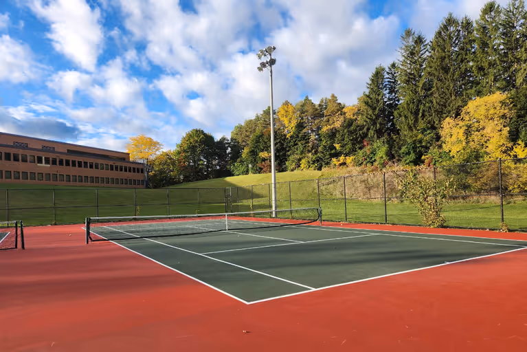 Fleury Park Public Tennis Courts