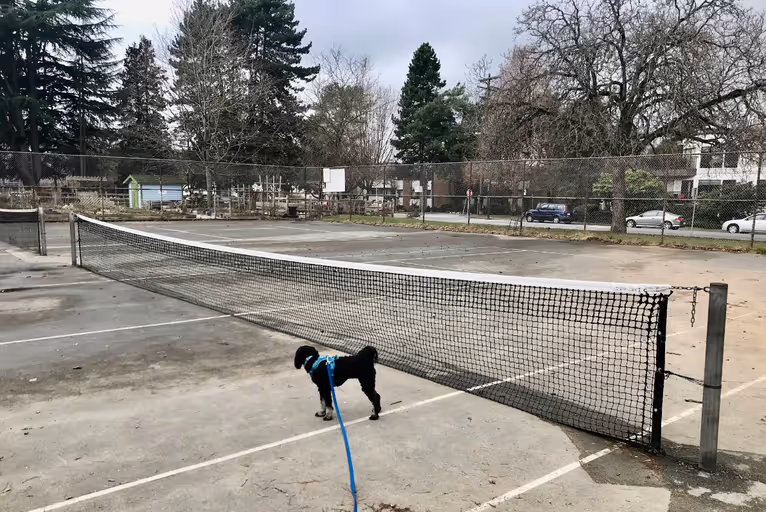 Guelph Park