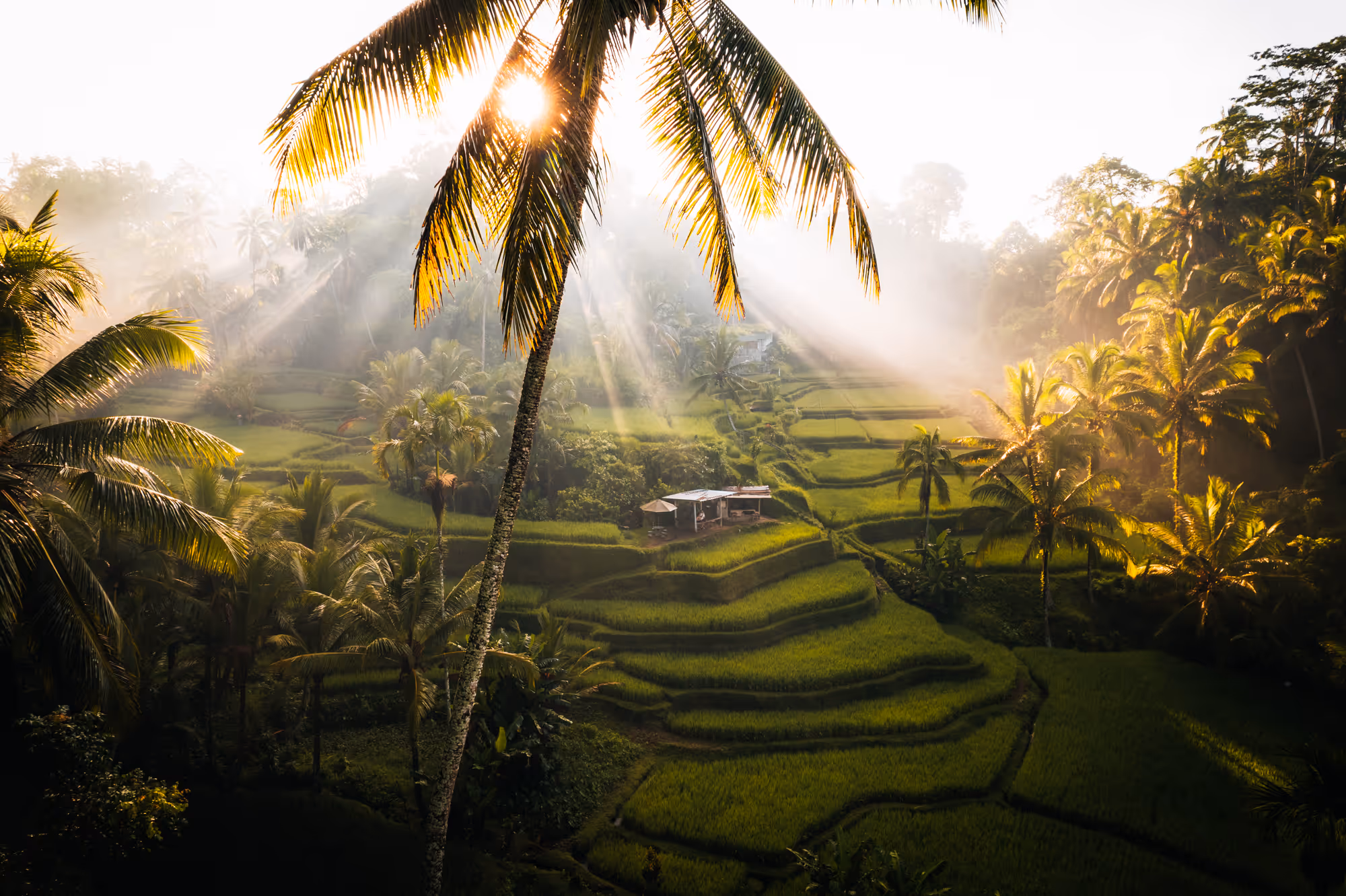 image of cultural explorations in a vibrant market