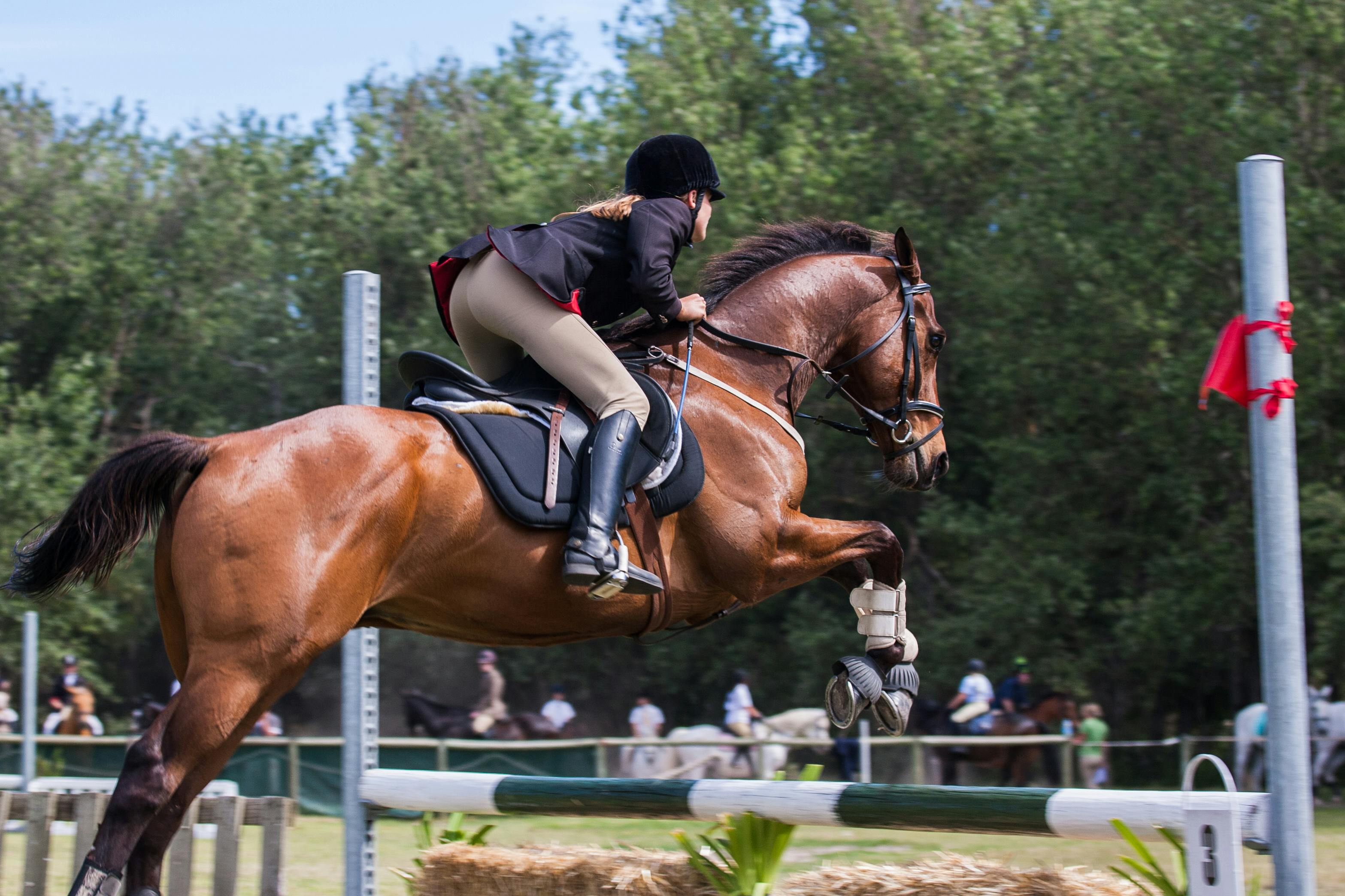 Springreiterin beim CHIO Aachen 2025 während eines Parcours – internationales Reitsport-Event und Kulisse für den Innovationskongress chiotec.