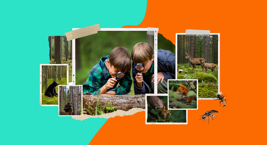 Kids learning about nature in an alternative forest school