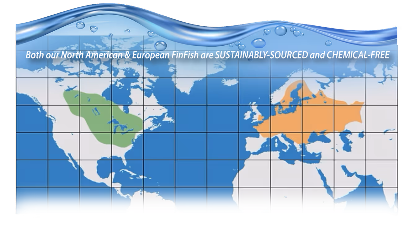 map that shows North American and Europe. NA is highlighted with green and Europe with orange