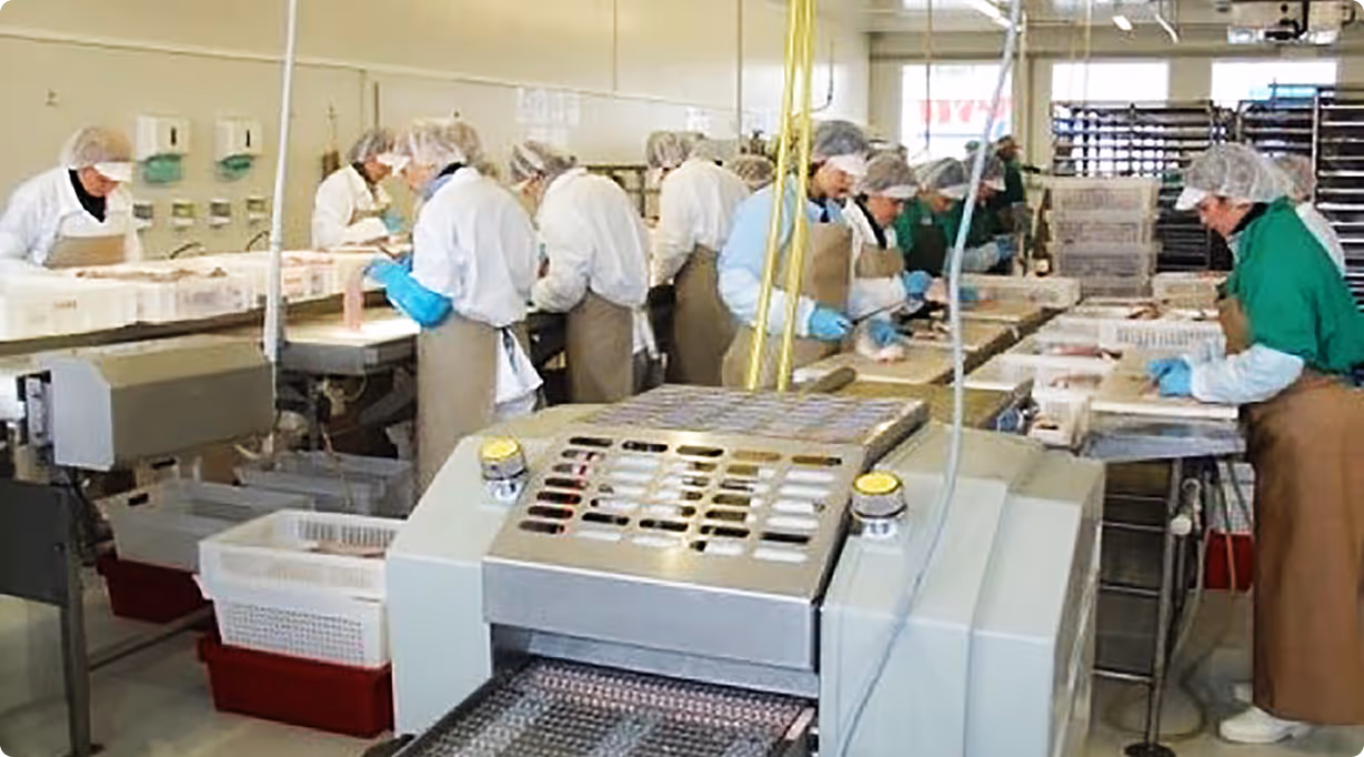 Processing center of workers freezing fish individually
