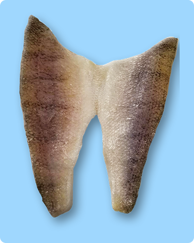 thawed FinFish , with no added perservatives