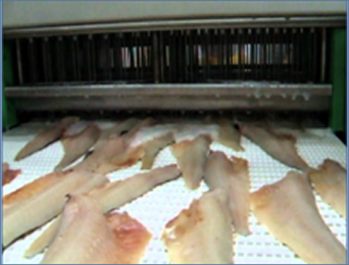 imagine of fish in a factory