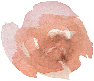 Aquarellgemälde einer rosa Blume mit weichen, verblassten Kanten.