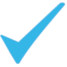 Check mark icon