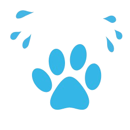 Pets Vomiting icon