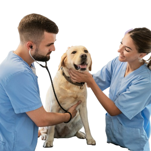 Review and care plan