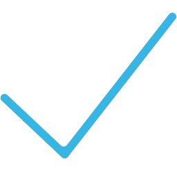 Check Mark Icon