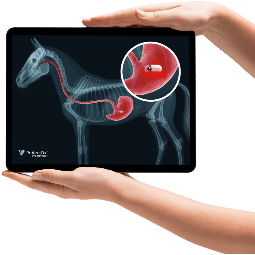 ProteusDx for Equine 