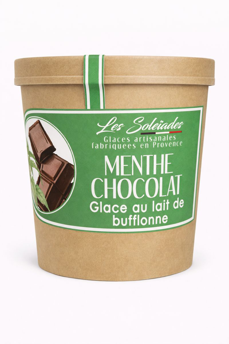 Glace Menthe Chocolat
