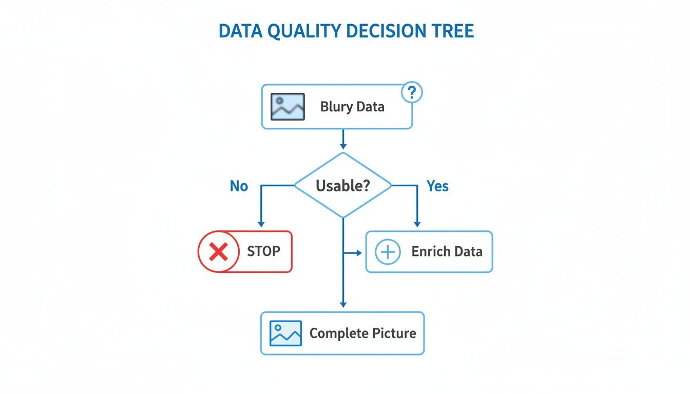A data quality decision tree flowchart showing steps to process blurry data, from usability check to enrichment.