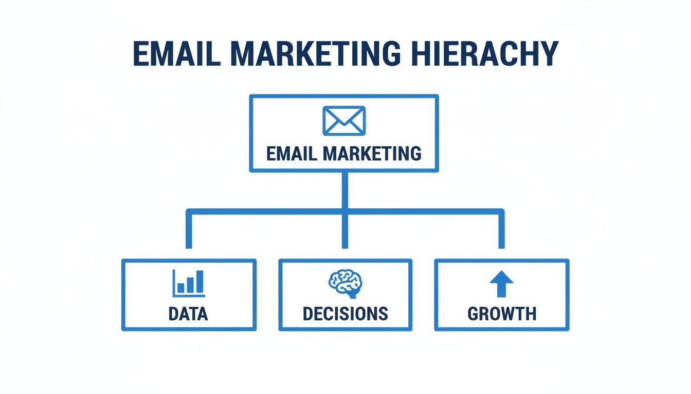 Hierarchy diagram illustrating email marketing's flow from concept to data, decisions, and growth.