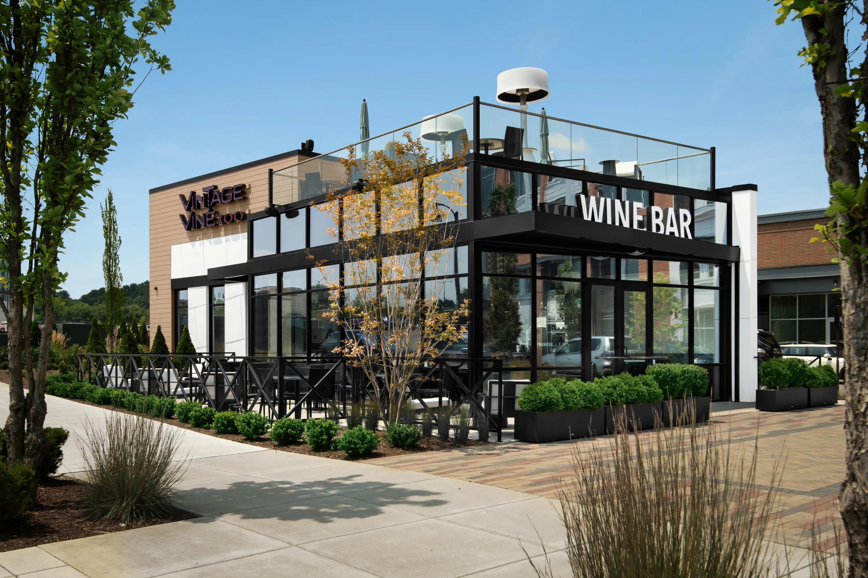 vintage vine architectural design