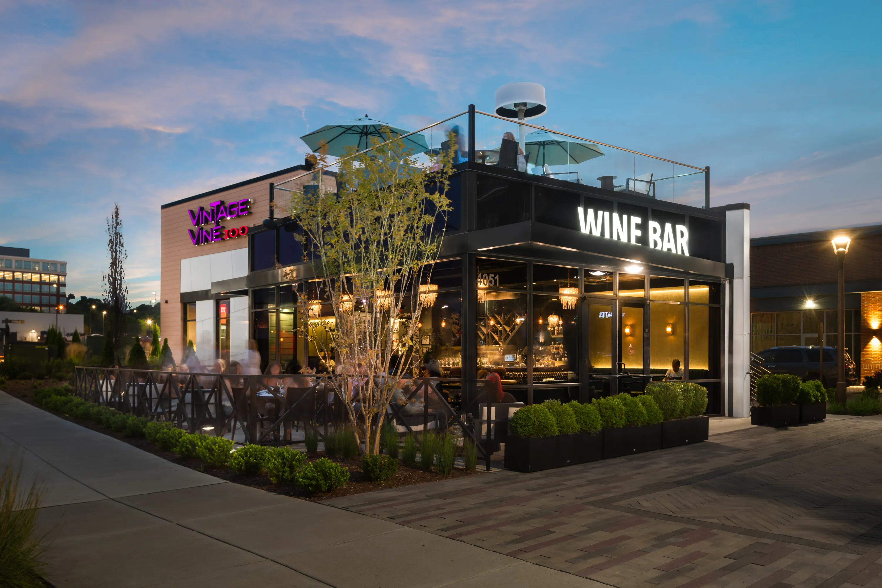 vintage vine architectural design