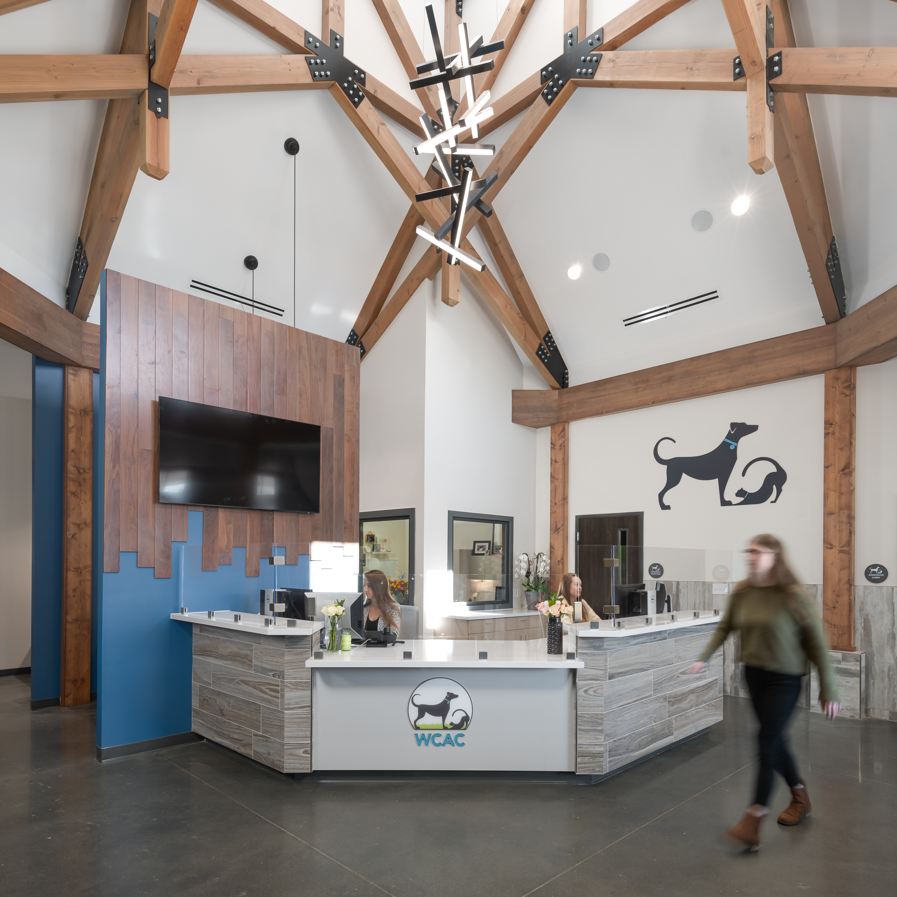 williamson county animal center lobby