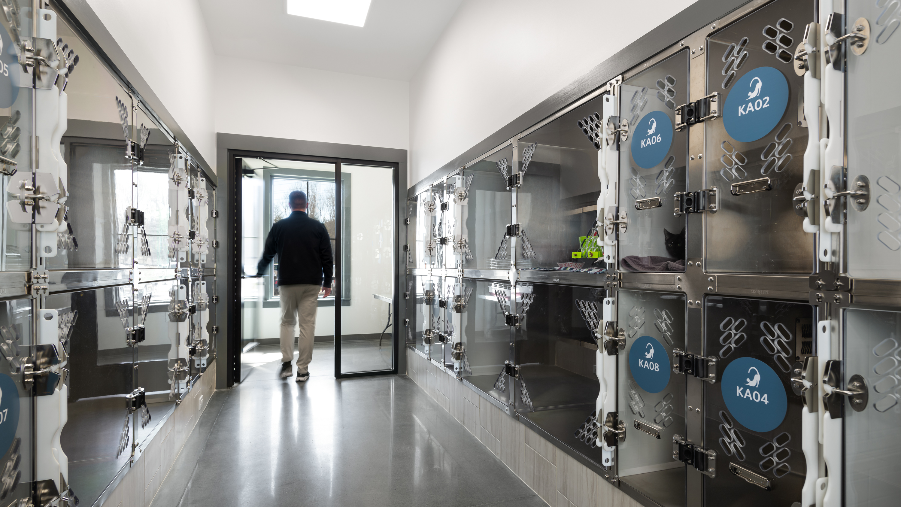williamson county animal center interior details