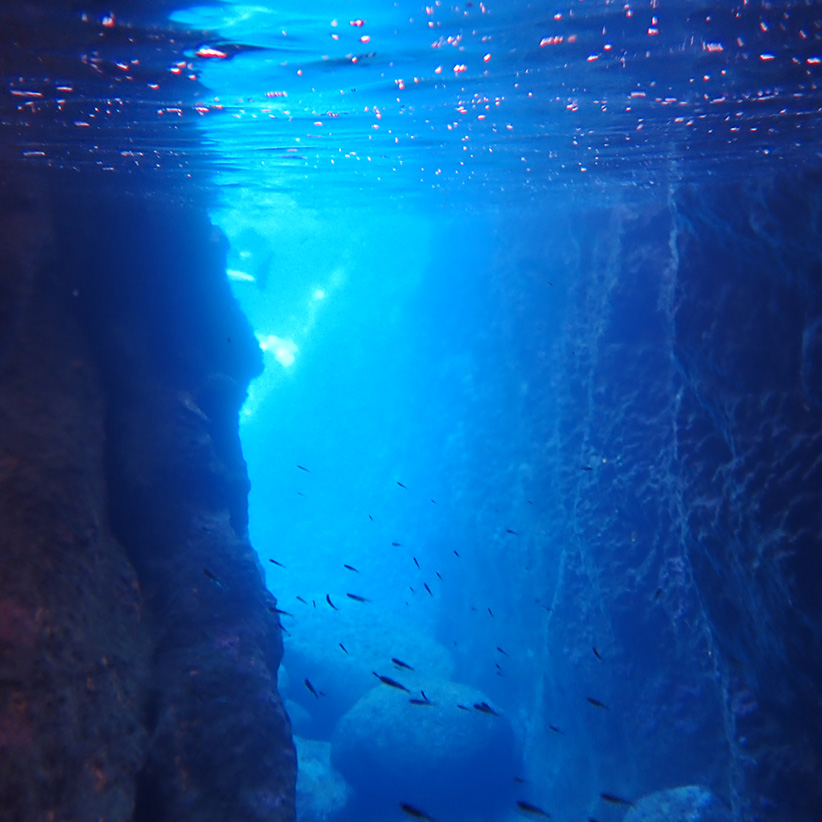 An underwater photograph in bright blue tones. The light is glimmering at the end of a gap between rocks where a shoal of small black fish are swimming. Pink bubbles sit on the surface of the water.