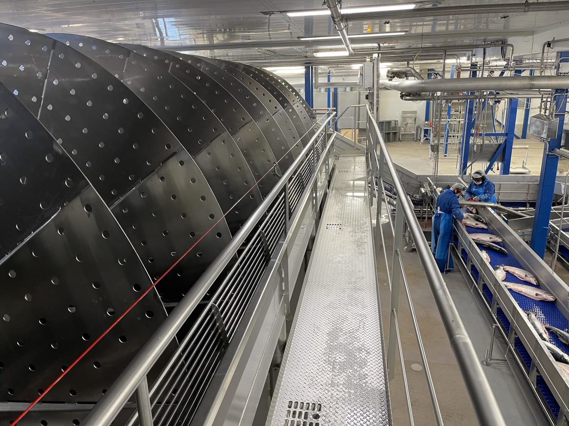 Rotex Sub-chilling system at Mowi