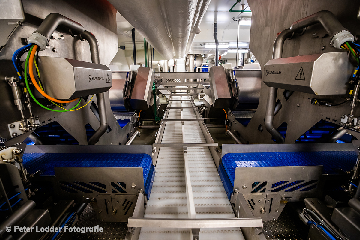Picture of processing system on the Scrombus