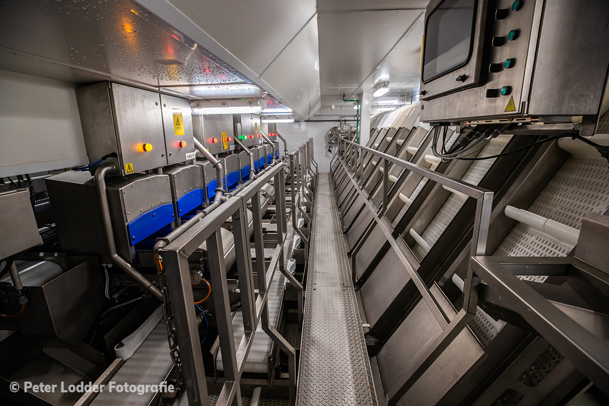 Processing system on the Scrombus