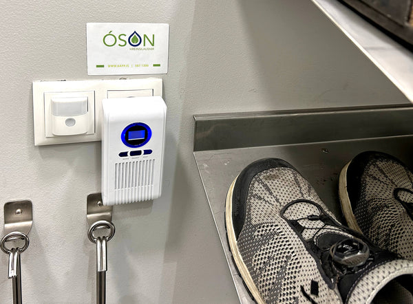 Ozone system of the size of a cell phone