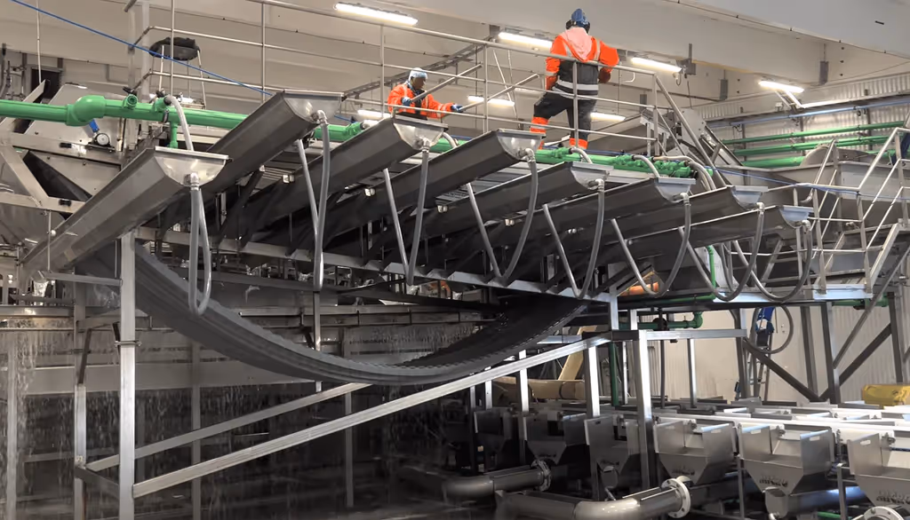 Part of a pelagic processing plant