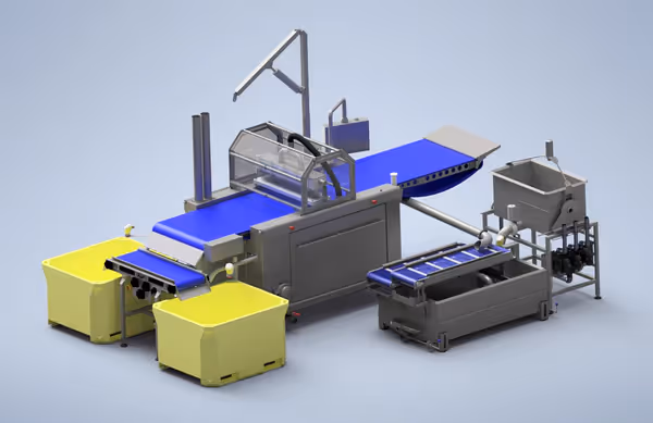 Stainless steel S900 Injection Machine with blue conveyor belt, for precise brine and additive injection into fish.