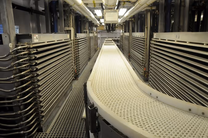 Curved conveyor system for fish sorting inside processing facility.
