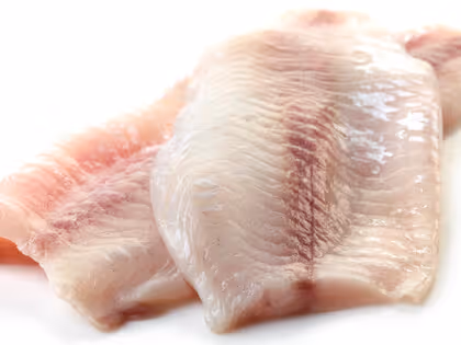 With SUB-CHILLING™, harvested fish is easier to process and offers better production yield at the processing site. As the product is kept at a sub-zero temperature throughout chilling, the fish is firmer, shows lower bacterial cou