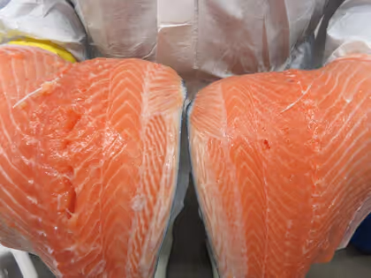 With SUB-CHILLING™, harvested fish is easier to process and offers better production yield at the processing site. As the product is kept at a sub-zero temperature throughout chilling, the fish is firmer, shows lower bacterial count and maintains its quali