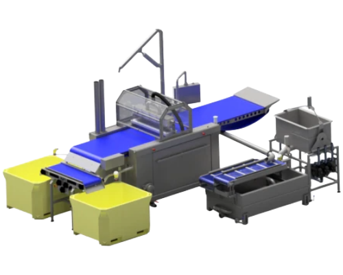 S900 Injection Machine system with blue conveyor and brine tanks, designed for precise brine and additive injection into fish, featuring touchscreen controls for efficient, traceable operation.