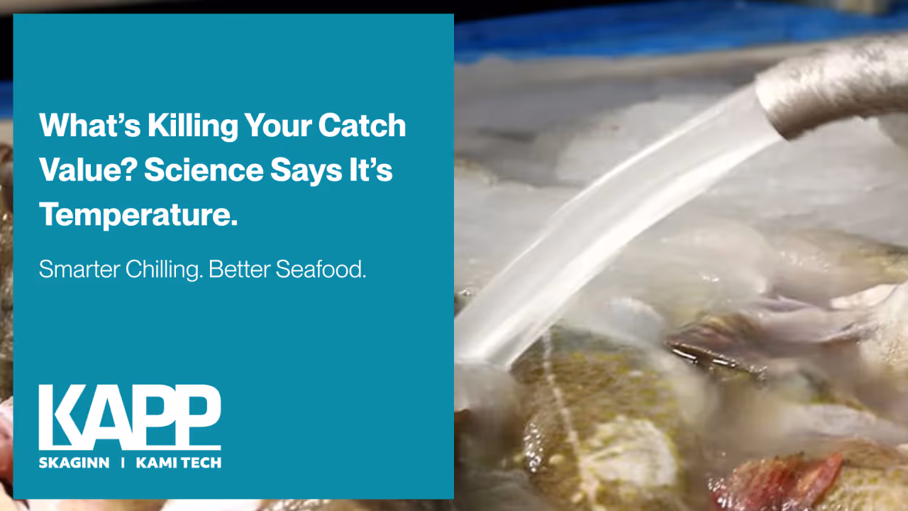 Slurry ice chilling fish onboard with water flowing from a hose, alongside KAPP branding and the text “What’s Killing Your Catch Value? Science Says It’s Temperature. Smarter Chilling. Better Seafood.”