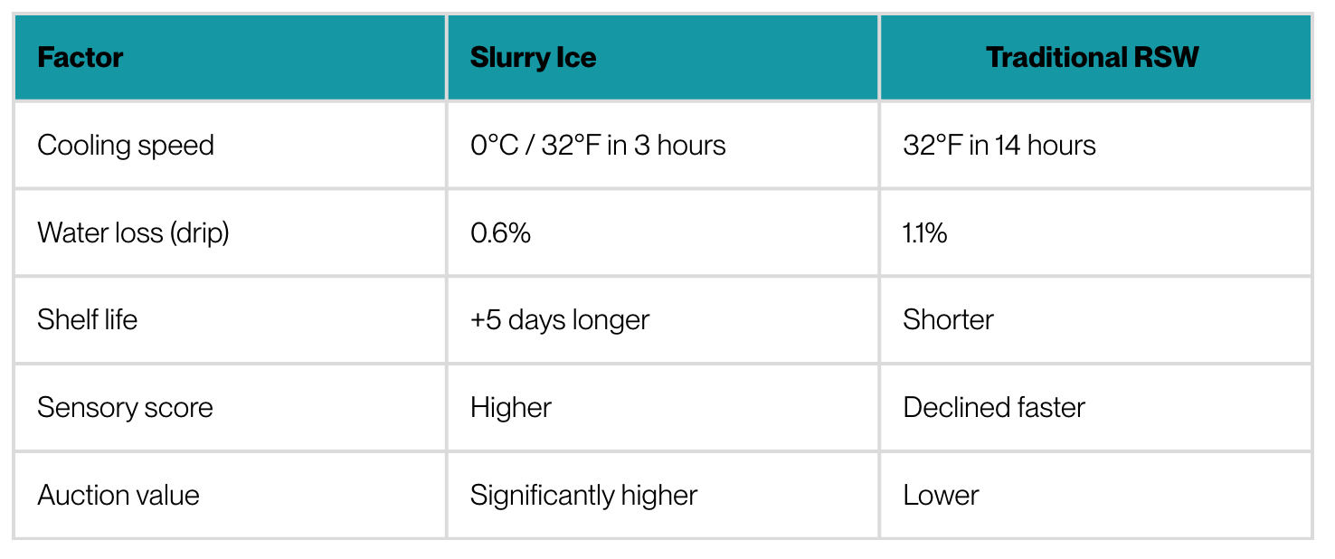 Side-byside comparaison of slurry ice and RSW cooling, in terms of cooling speed, water loss, shelf life, sensory score and auction value