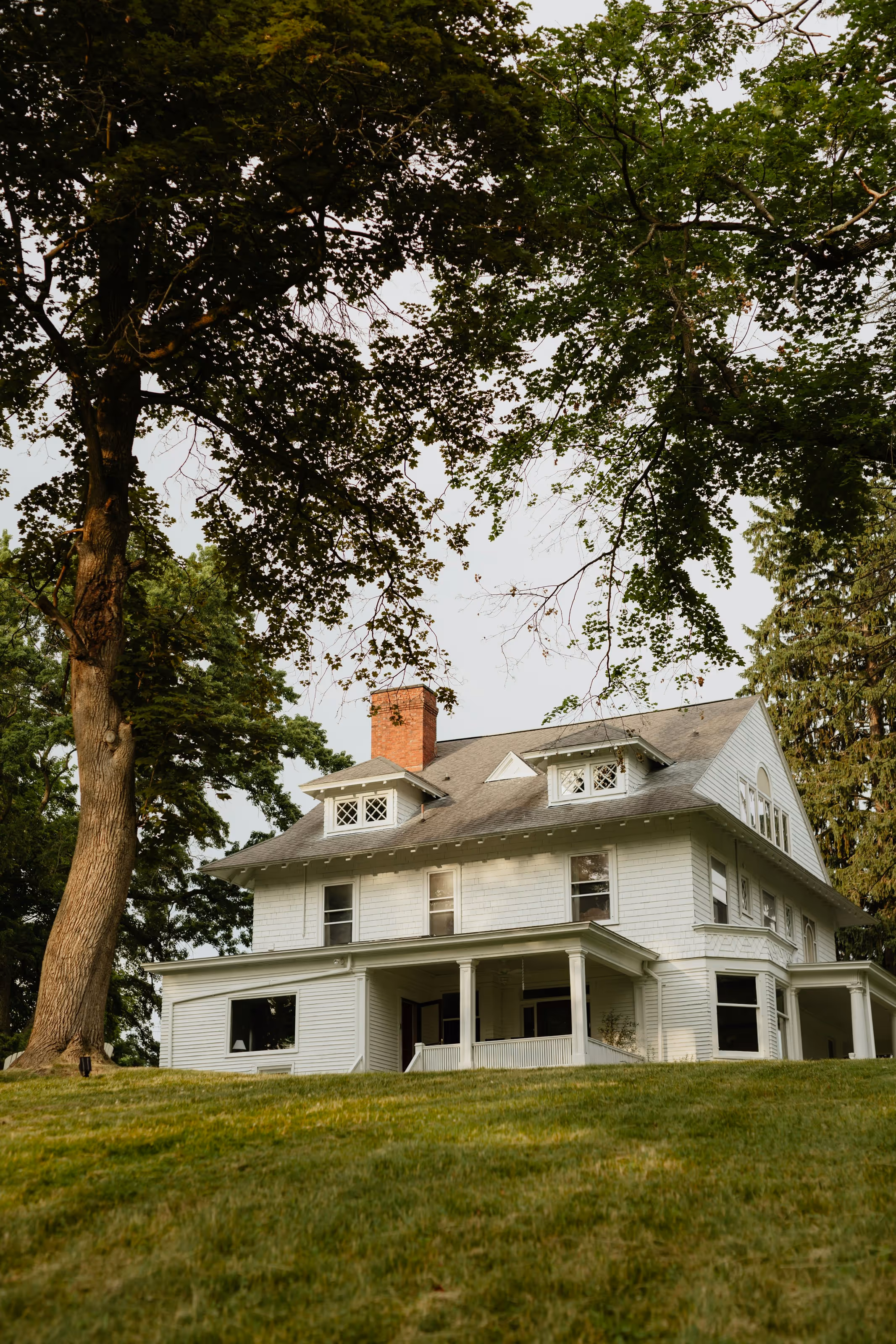 image of white suburban house surrounded by trees