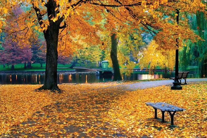 A realistic early-fall New England neighborhood scene inspired by Chelmsford, Massachusetts