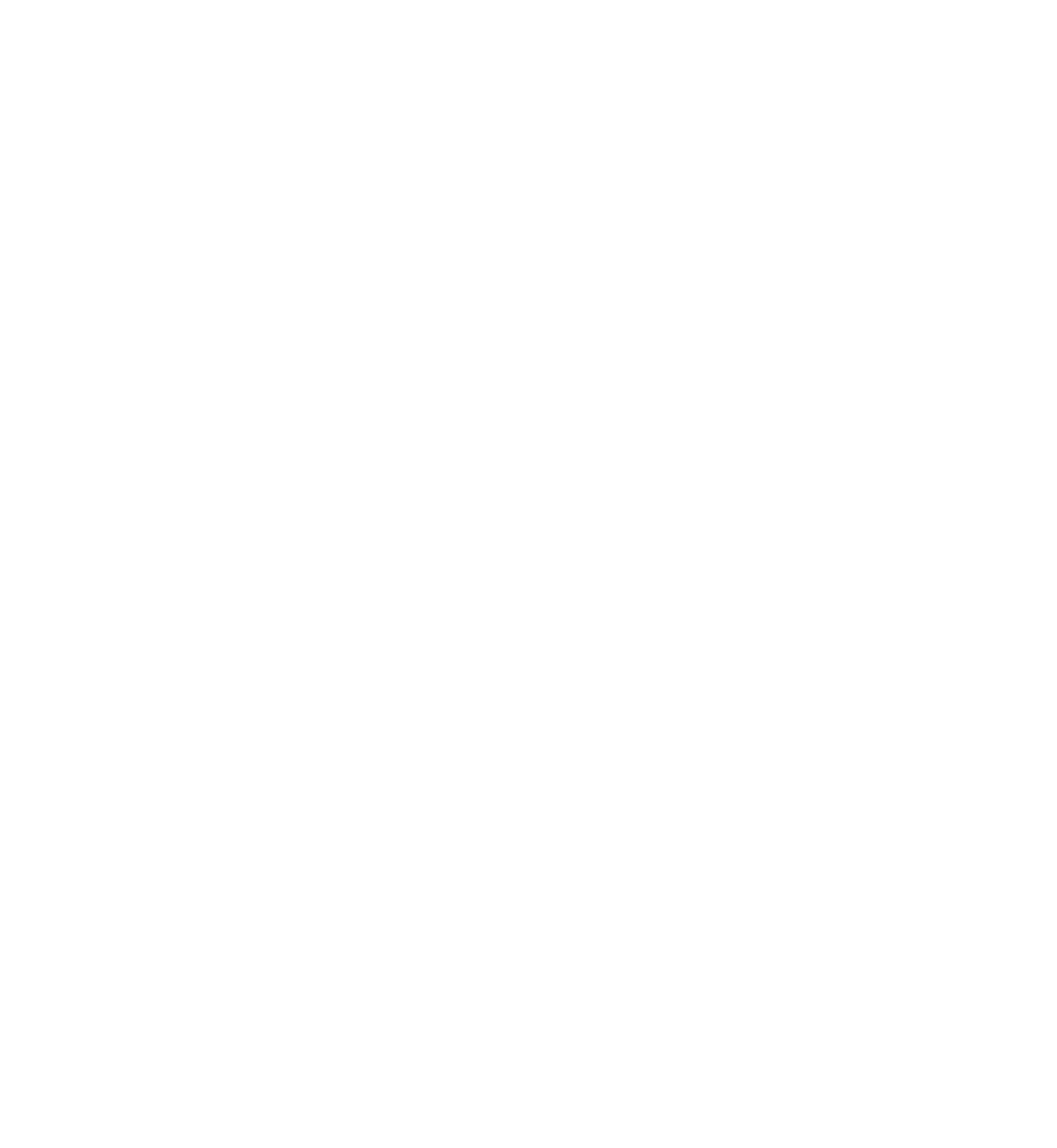CHRONOS WEB  LOGO