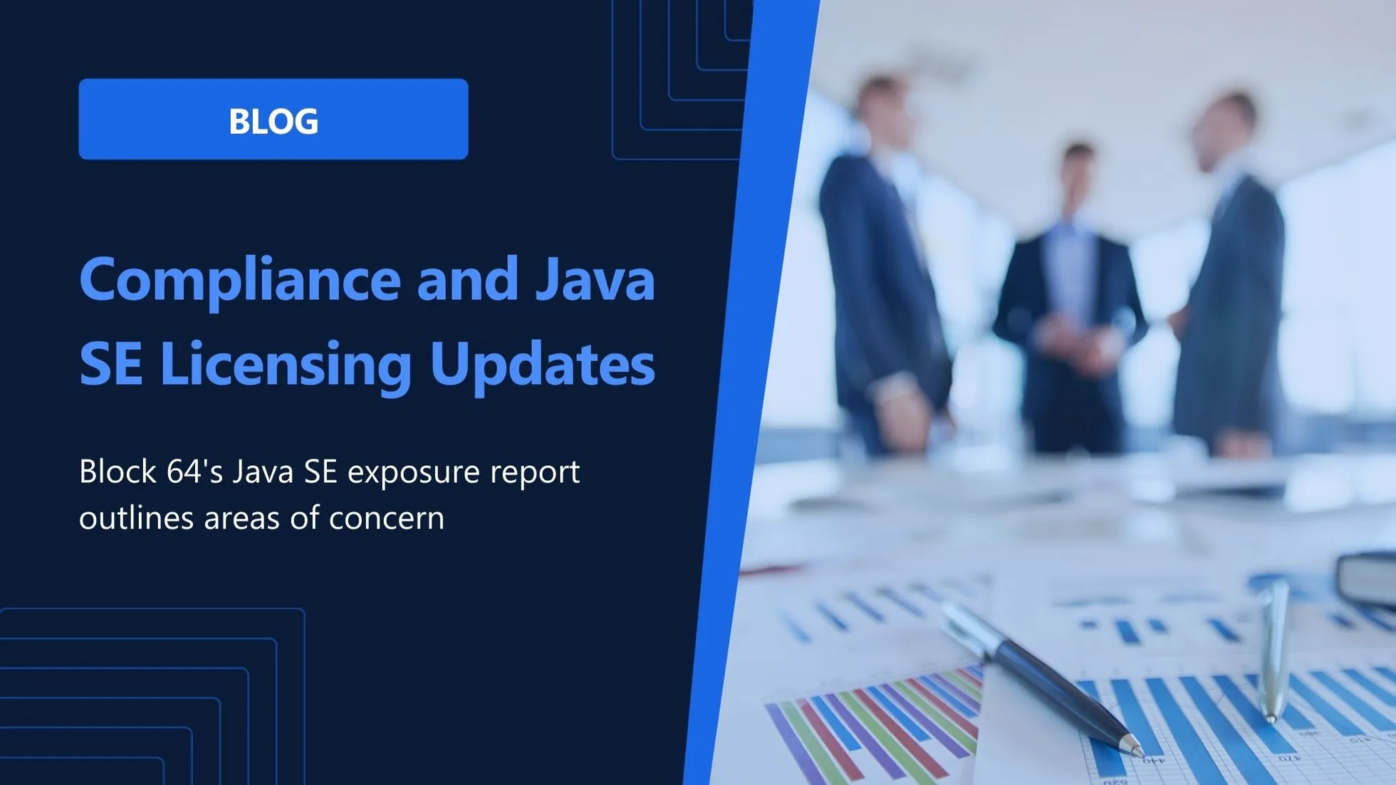 Oracle Java SE Licensing Update