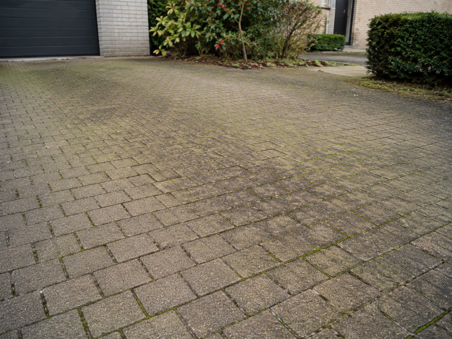 Allée en pavés encrassée avec mousse et dépôts verts avant nettoyage professionnel par Ready 2 Clean