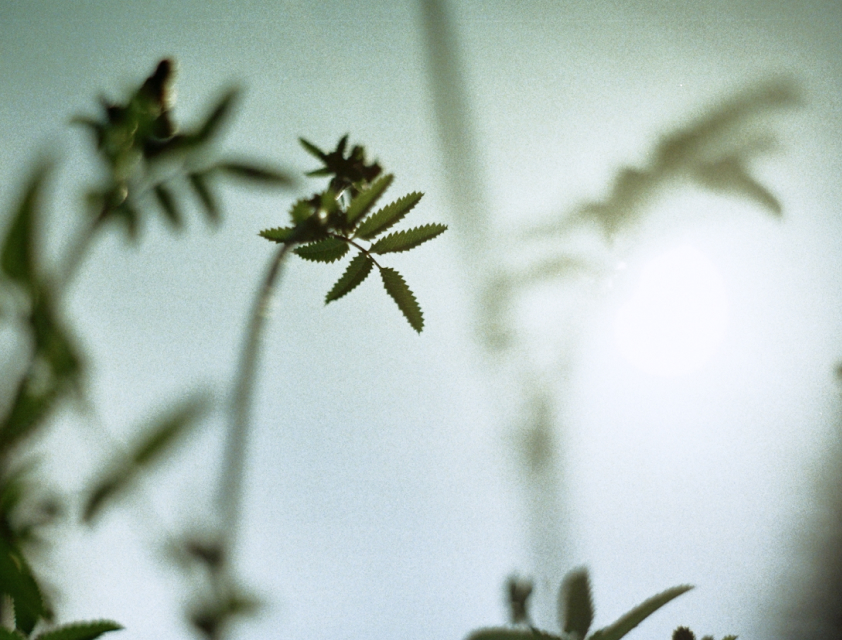 Transforma tu ecosistema digital con IA