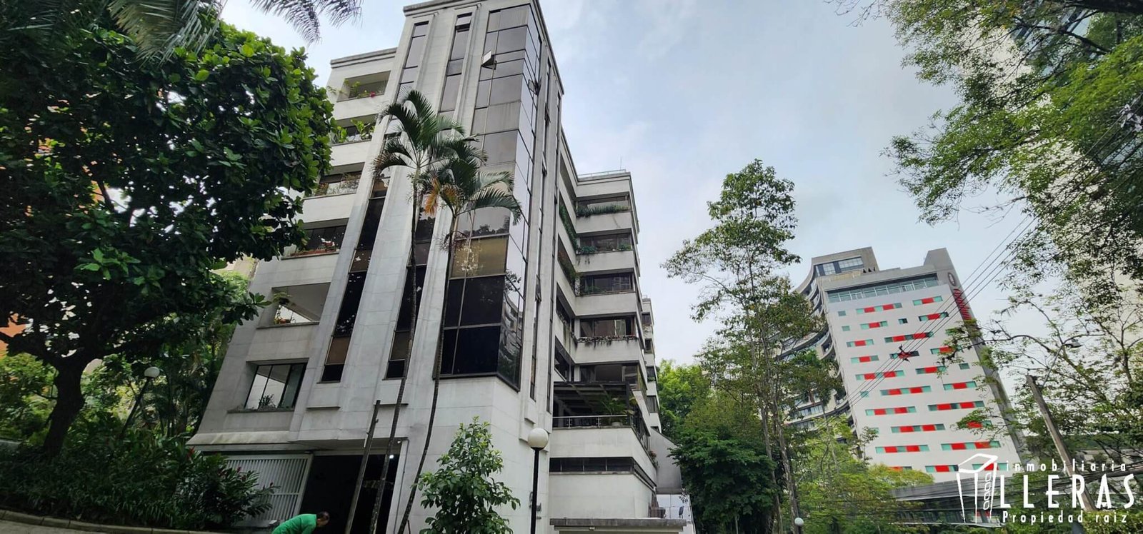 Milla de oro poblado - Imagen 1