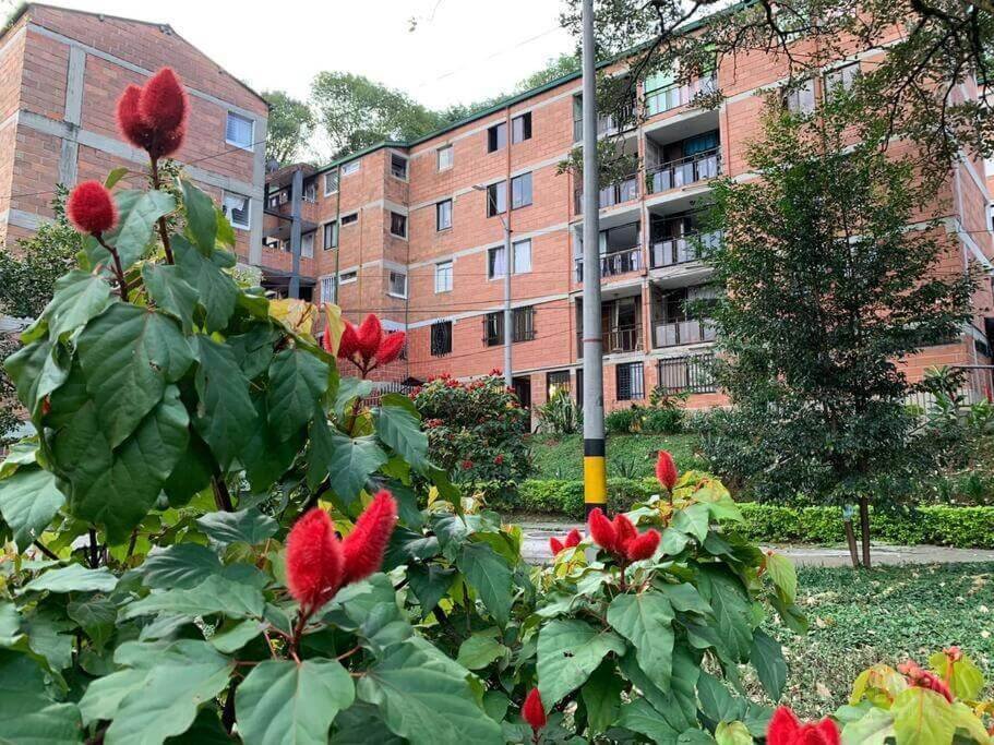 Sector Tricentenario - Imagen 1