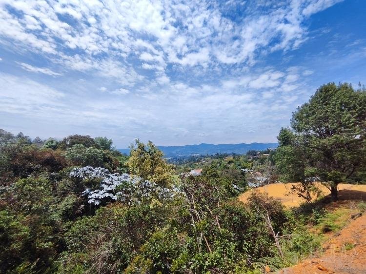 LOTE EN GUARNE  VEREDA LA  CLARITA 17 - Imagen 1