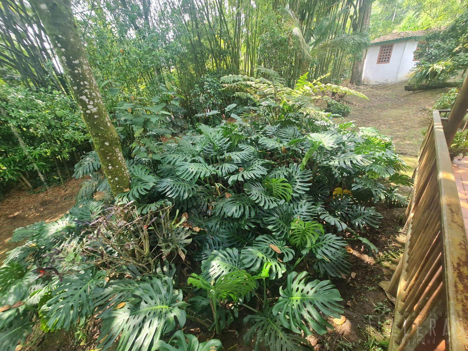 Casa finca en la Estrella sector el Guayabo - Miniatura 18