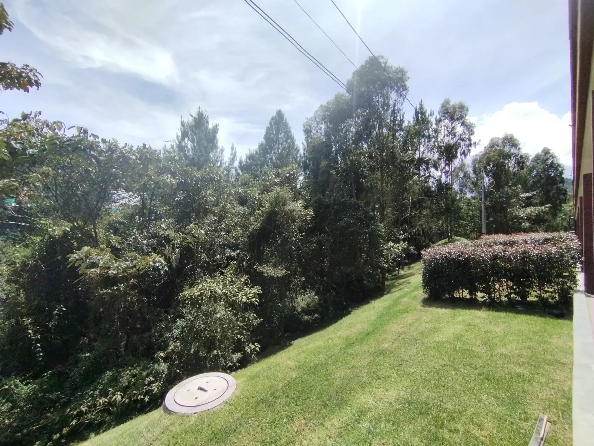 LE MONT MALL ALTO DE LAS PALMAS OFCINA - Miniatura 4